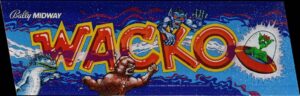 Read more about the article A World of Games: Wacko