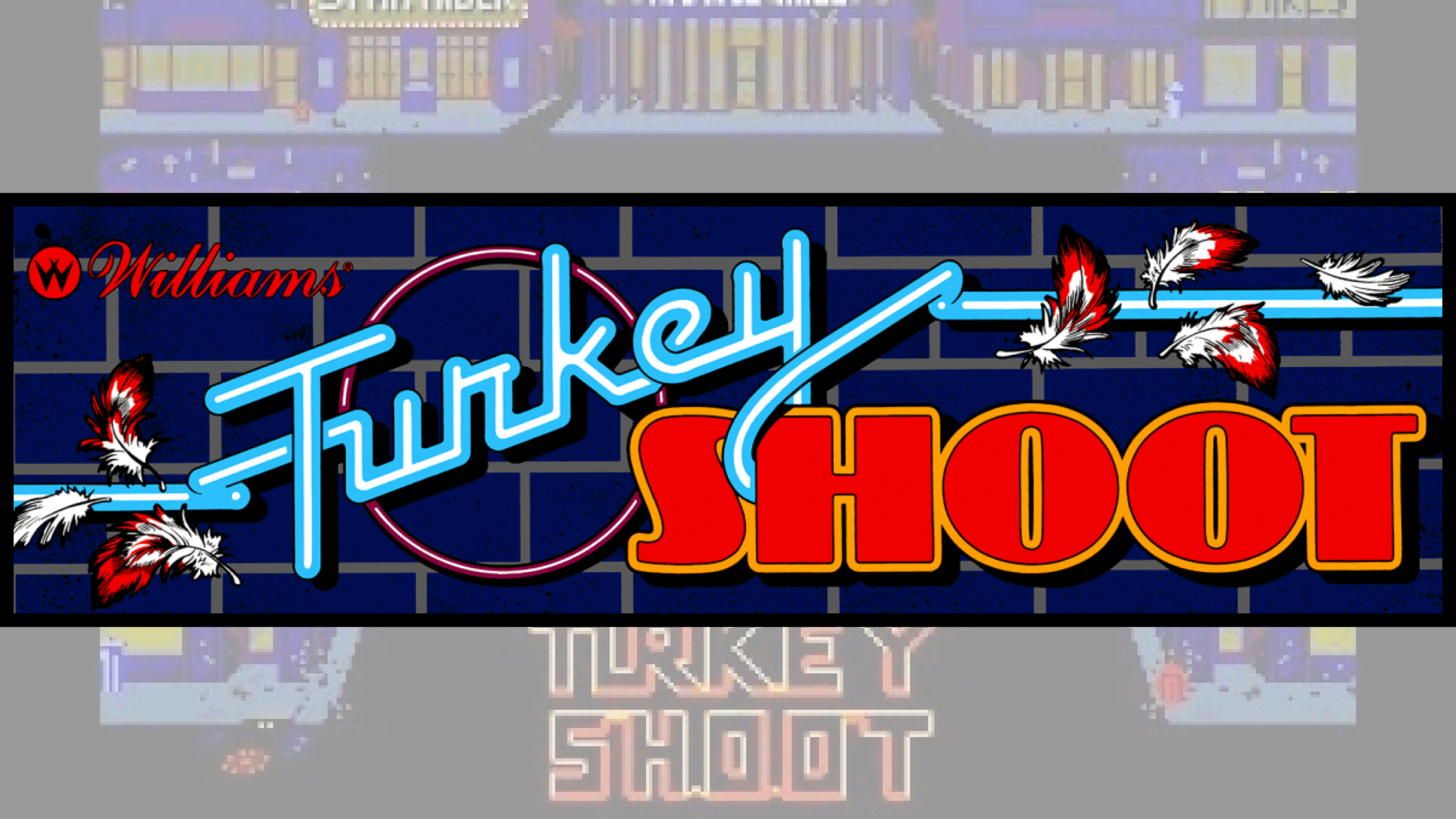 You are currently viewing A World of Games: Turkey Shoot